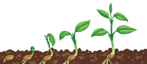 Howard Speaks: Get Active About Passive Income Dentaltown founder Dr. Howard Farran says dentists should be looking at, and investing in, proven sources of passive income long before it’s time to sell their practice and retire.