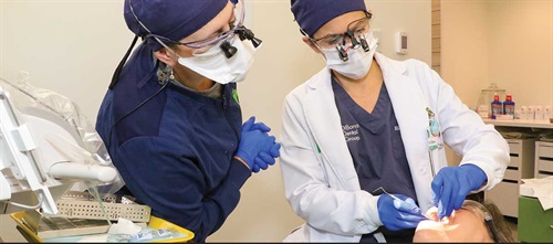 Office Visit: Dr. Elizabeth DiBona After many years in a building that had been a scratch practice in the 1970s, this New Hampshire Townie and her architect husband drew up plans, purchased land and designed a new spot where she works alongside a team of general dentists and specialists.