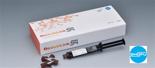 Product Profile: BeautiLink SA Specifically designed for zirconia restorations