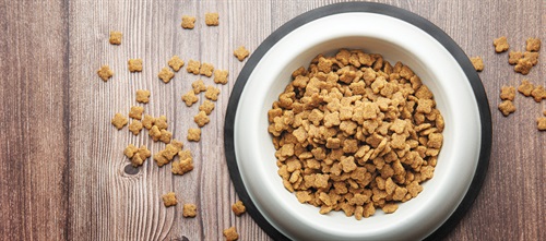 Professional Courtesy: Eat Less Dog Food Dentaltown Editorial Director Dr. Thomas Giacobbi discusses his experience of going out-of-network and
provides a checklist for those looking to do the same. 