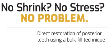 Show Your Work: No Shrink? No Stress? No Problem  Dr. Jason Olitsky shares a case study featuring direct restoration of posterior teeth using a bulk fill technique.
