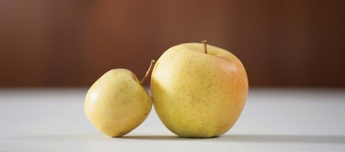 Howard Speaks: Who Can You Lean On? Dentaltown founder Dr. Howard Farran finds a similarity between his efforts to establish healthier habits and the right way to approach staffing a dental team.
