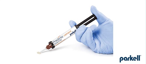 Product Profile: Predicta Bioactive Cement A universal cement that closes the gap against microleakage