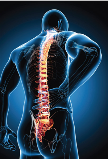 The Five Risk Factors of Improper Ergonomics Kathy Rotramel-Stipe shares some ways to eliminate ergonomic risks in your practice.