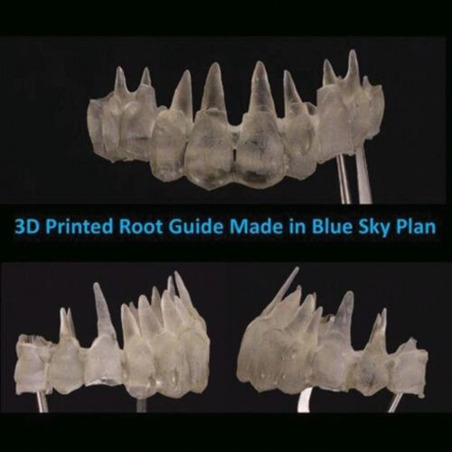 The Root Guide