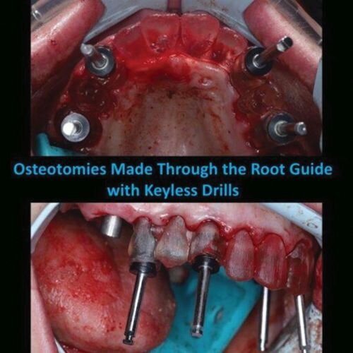 The Root Guide