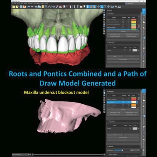 The Root Guide