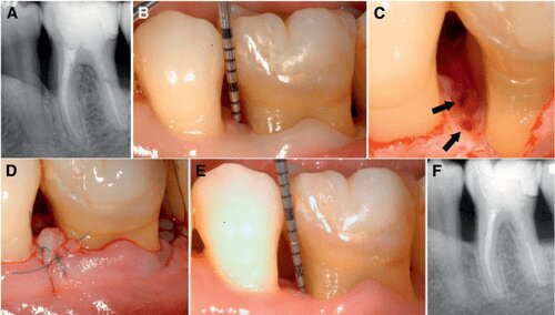 adfe3e51-99ea-4785-a9a4-321fe8b3d698.jpg