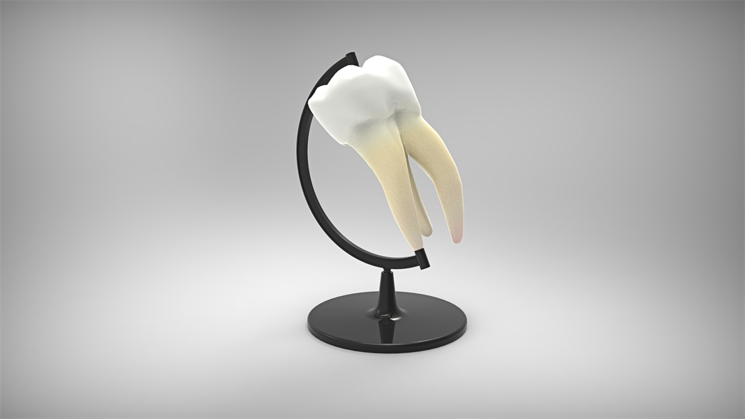 Risk Management in Endodontic Clinical Practice