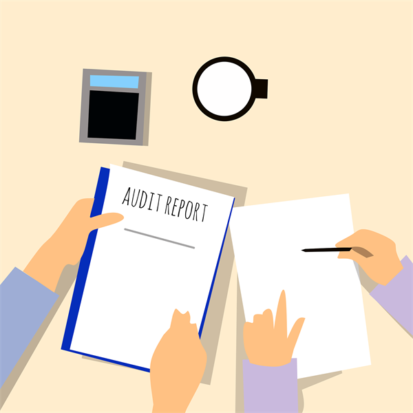 The Department of Labor Audit Selection