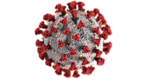 CORNAVIRUS (COVID-19) LATEST INSIGHTS