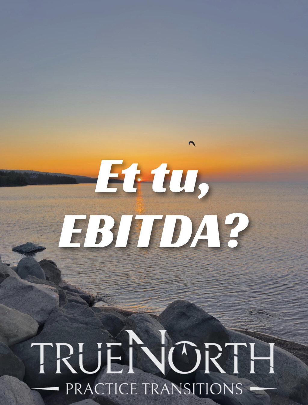 Et tu, EBITDA?