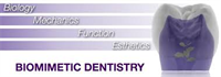 Biomimetic dentistry applied to cosmetic procedures by Dr. Michael Y. Jacobson DDS, MPH