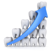Dental Support Essentials