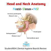 Q: The parotid gland secretes saliva through which duct?