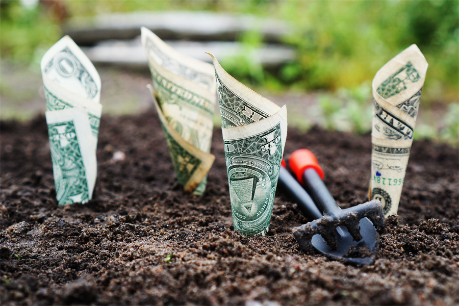 Growing Your Net Worth