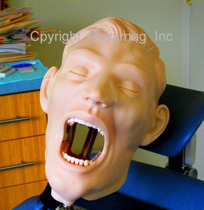 Dental Schools Supplies Buyamag Inc Alpha Leader Durable Best Quality X-Ray Manikin Periodontal Hygiene Simulator Orthodontic Models Anesthesia Teeth Extraction Phantom Training Practice 