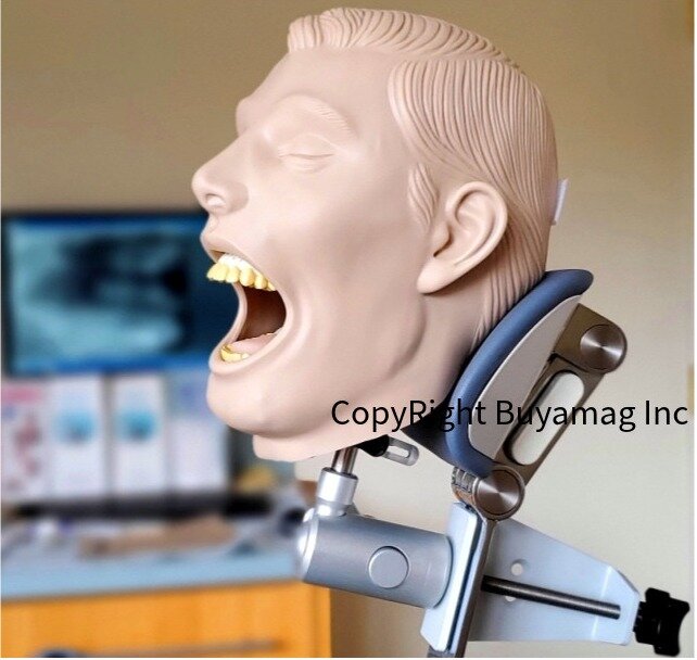Dental Assistant Schools Supplies Essentials Resources Radiology X-Ray Manikin Periodontal Simulator Orthodontic Models Buyamag inc 