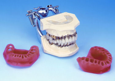 Periodontal Hygiene Models Manikins Phantom From Buyamag.com Help Gain Practical Experience In Periodontal Techniques to Students & Office Stuff 