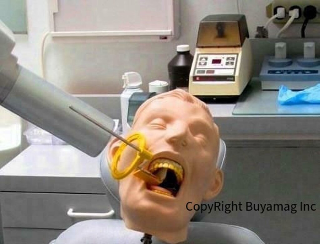 Dental Assistant Schools Supply Practice Dental X-Ray Radiology Manikins Radiography Simulators Training Pantom Heads 