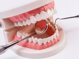 How to Choose the Right Dental Professional for Your Family