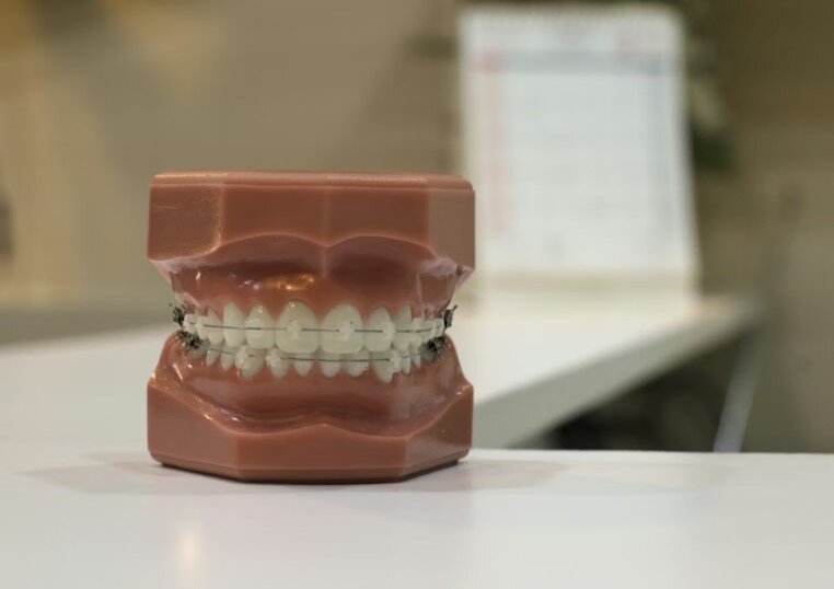 The Connection Between Gum Health and Whole-Body Wellness