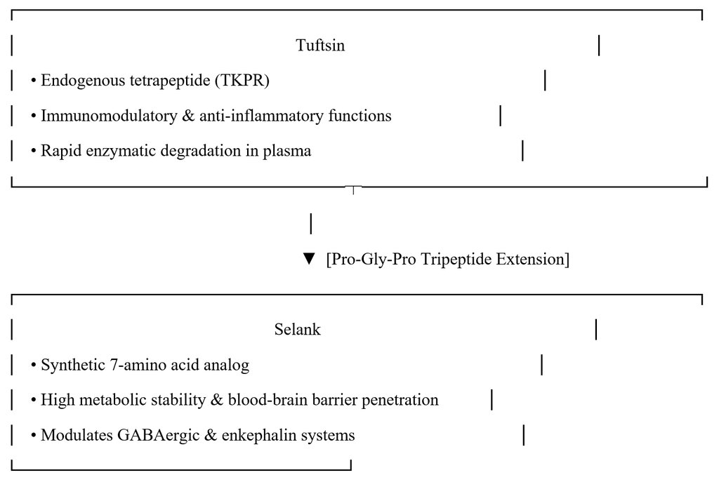 The Cognitive Stack: How Selank and Semax Enhance Focus, Stress Response, and Clarity