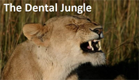 The Big Five in Dentistry