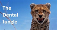 The Dental Jungle – Readiness